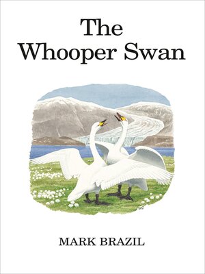 cover image of The Whooper Swan